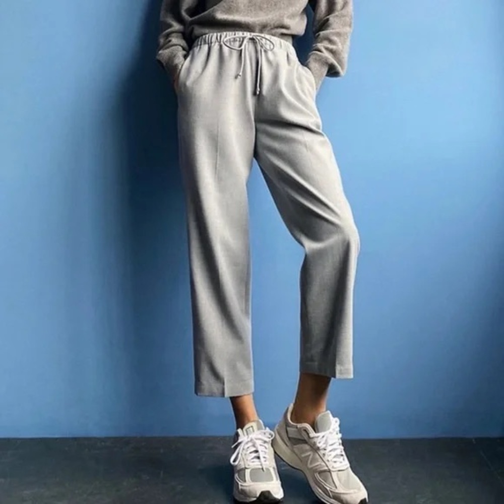 Aritzia Babaton Jimmy Pants